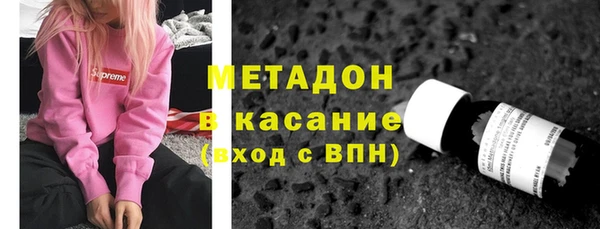 молекула духа Богданович