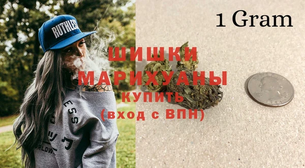 молекула духа Богданович