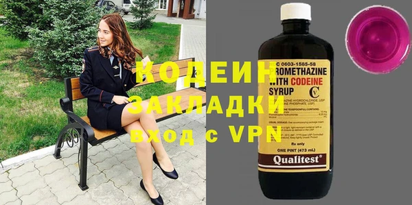 молекула духа Богданович
