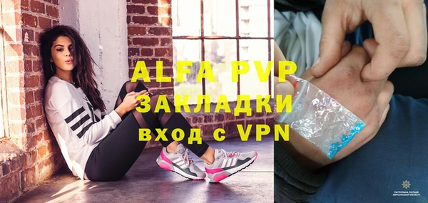 молекула духа Богданович