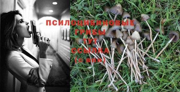 прущие крисы Беломорск