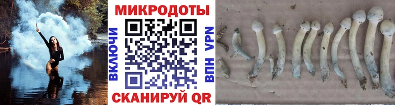 Псилоцибиновые грибы MAGIC MUSHROOMS Богданович